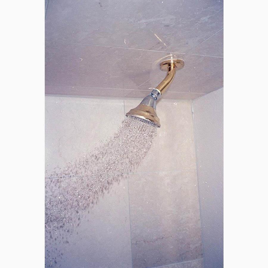 Photograph by Gia Coppola