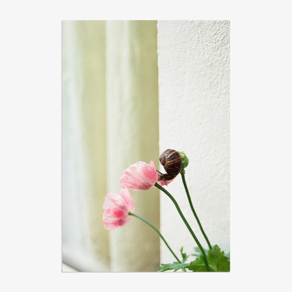 Photograph by Johanna Tagada Hoffbeck