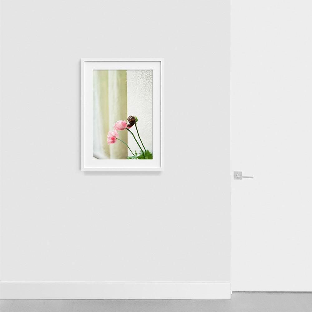 Elegance , Photograph by Elegance Tappan