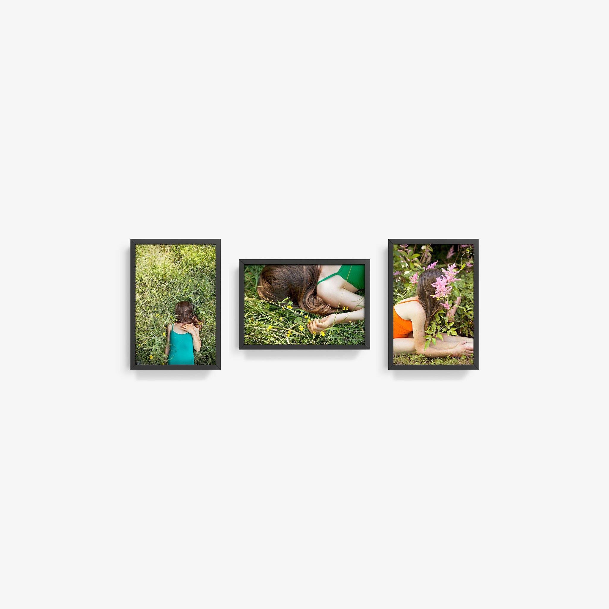 Edelweiss (Triptych), Photograph  by  Edelweiss (Triptych) Tappan