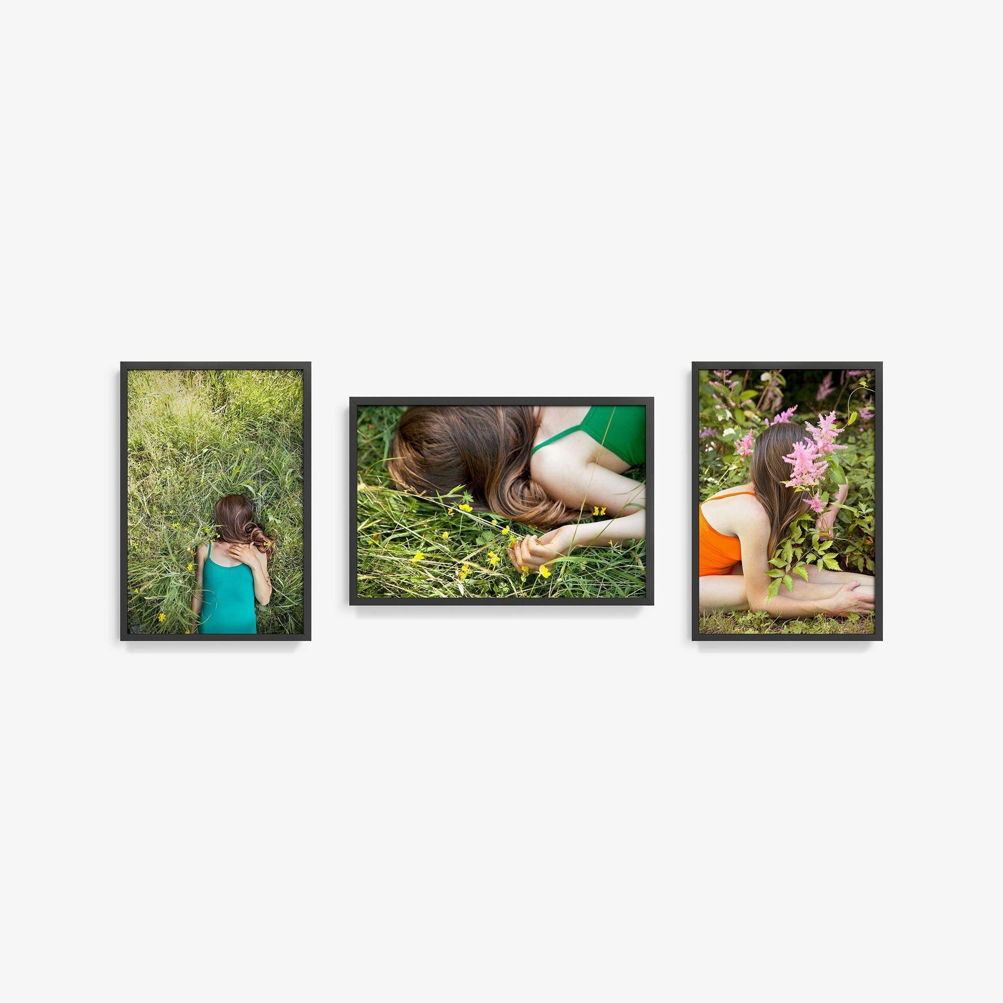 Edelweiss (Triptych), Photograph  by  Edelweiss (Triptych) Tappan