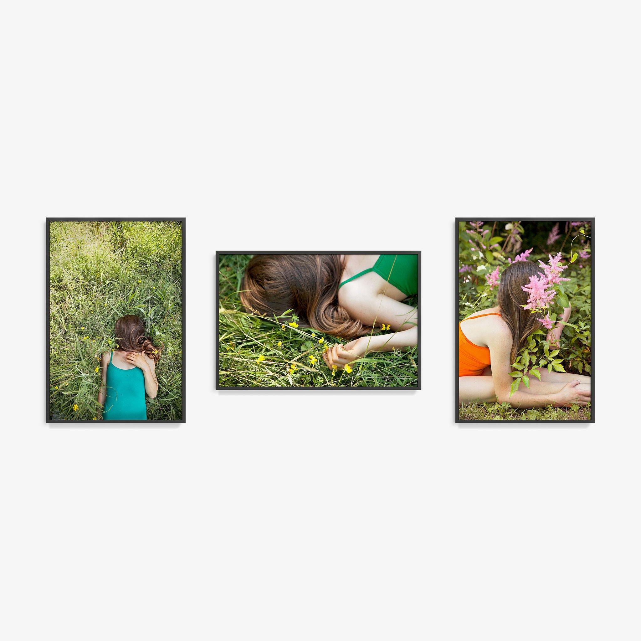 Edelweiss (Triptych), Photograph  by  Edelweiss (Triptych) Tappan