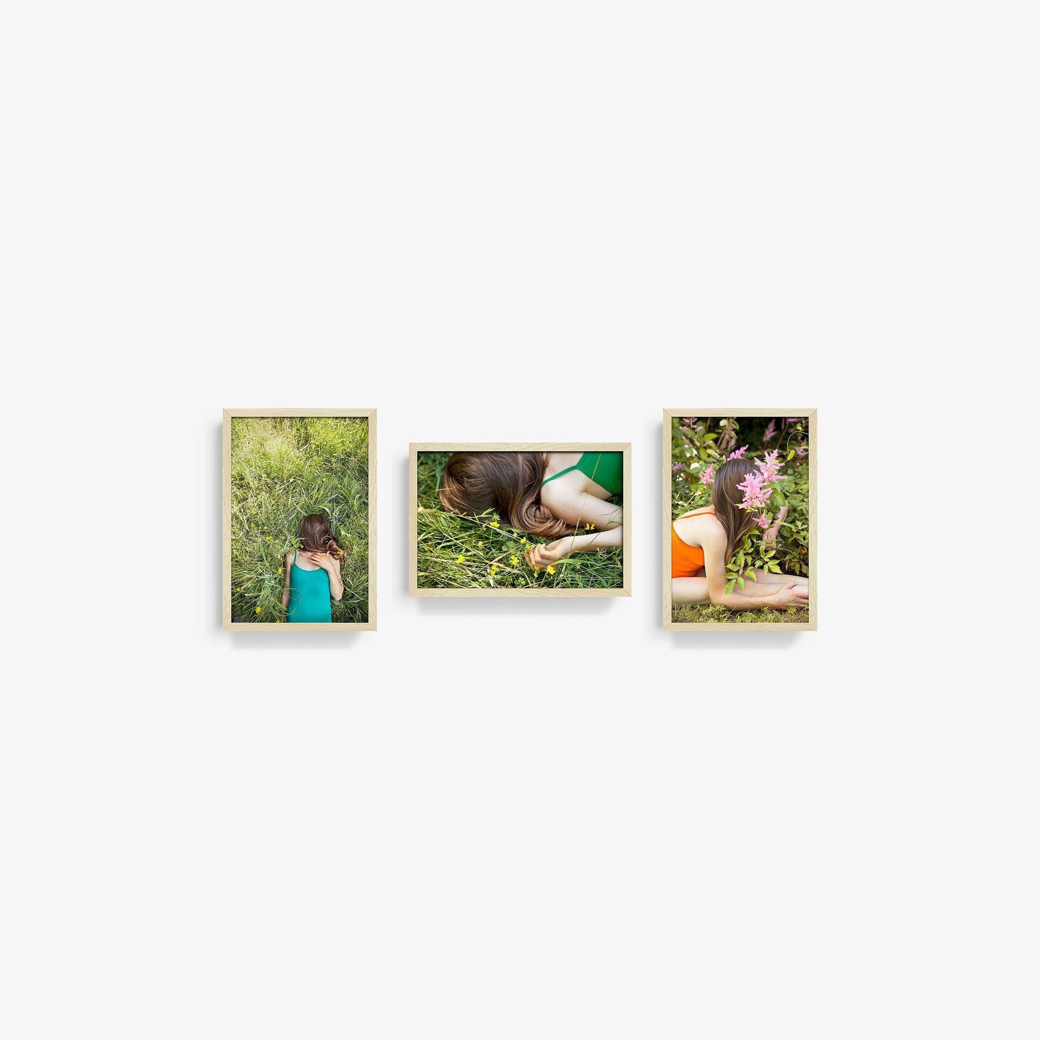 Edelweiss (Triptych), Photograph  by  Edelweiss (Triptych) Tappan