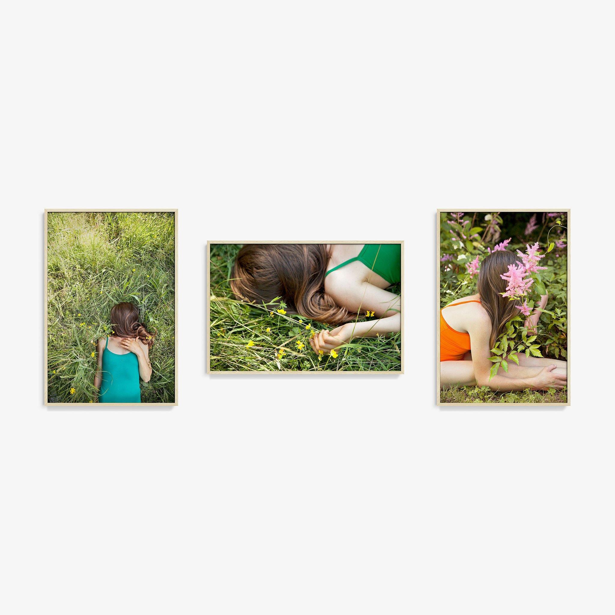 Edelweiss (Triptych), Photograph  by  Edelweiss (Triptych) Tappan