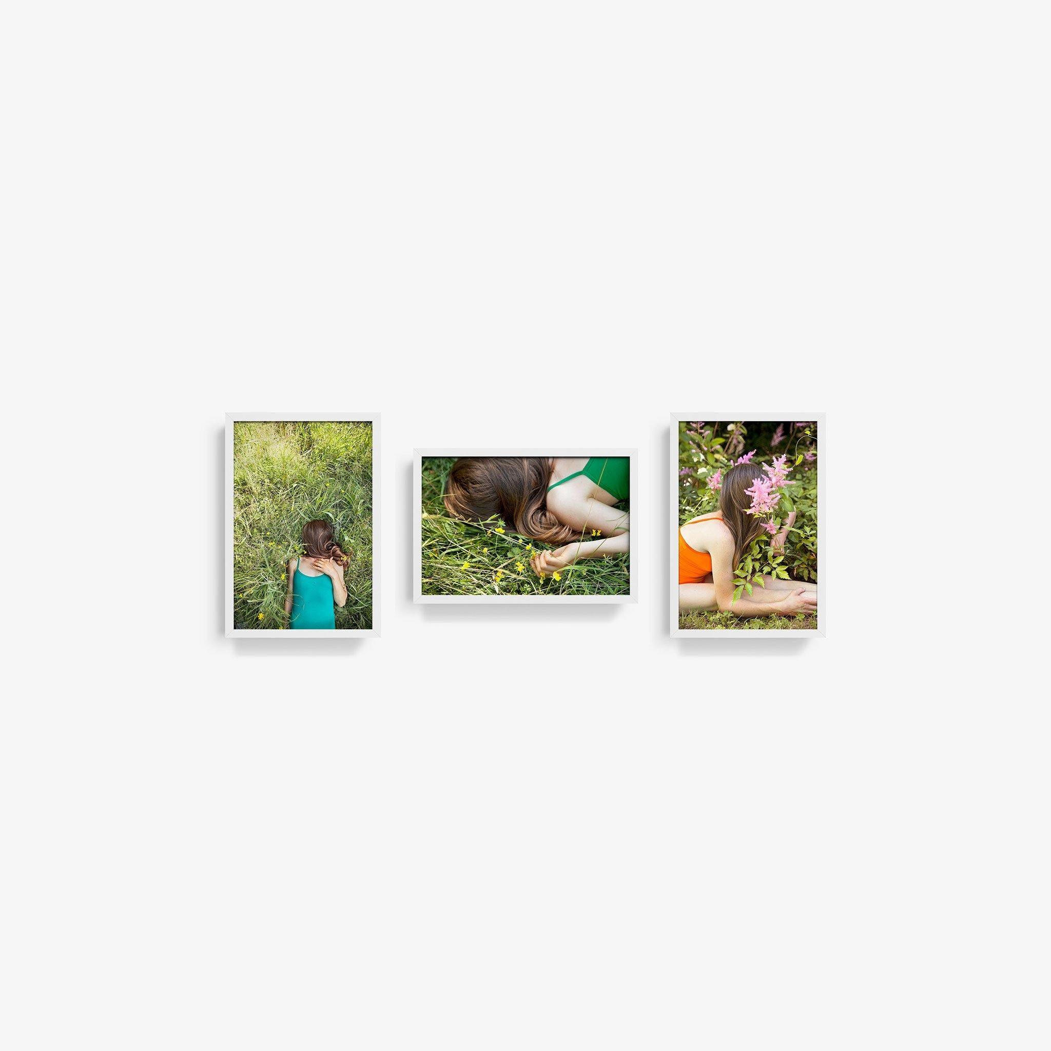 Edelweiss (Triptych), Photograph  by  Edelweiss (Triptych) Tappan