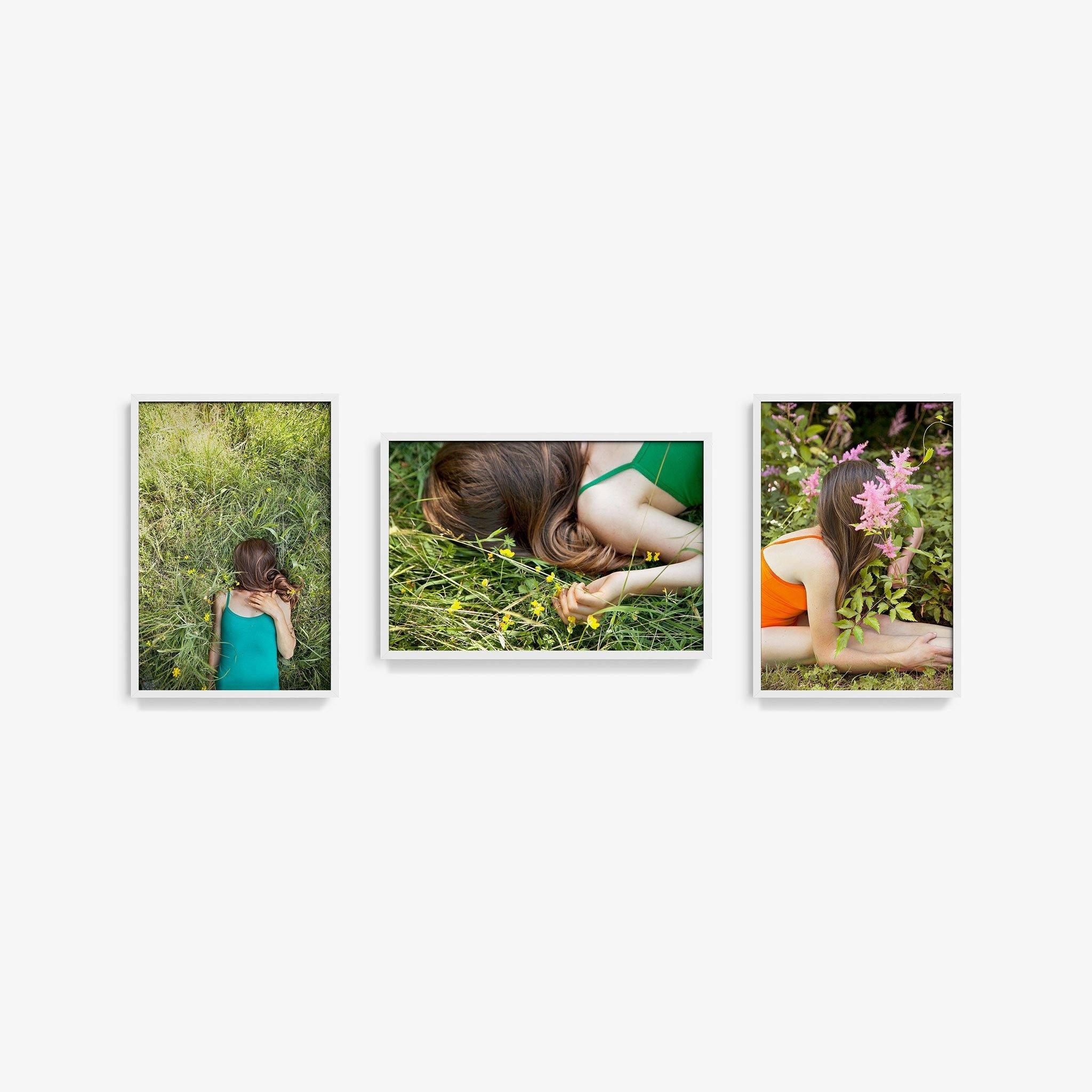 Edelweiss (Triptych), Photograph  by  Edelweiss (Triptych) Tappan