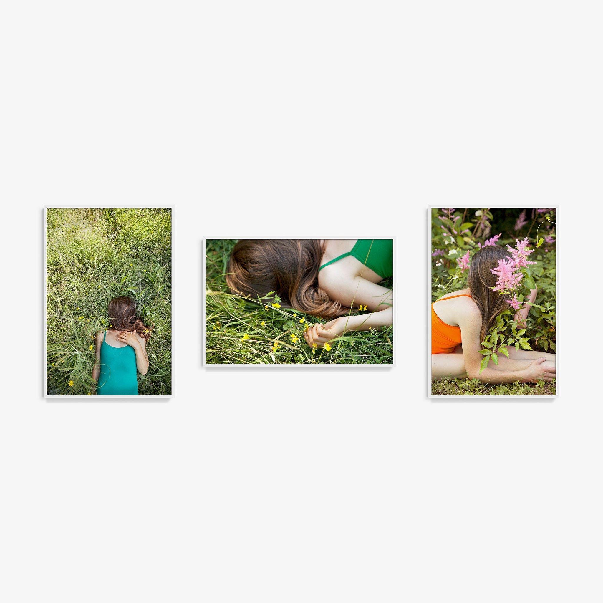 Edelweiss (Triptych), Photograph  by  Edelweiss (Triptych) Tappan