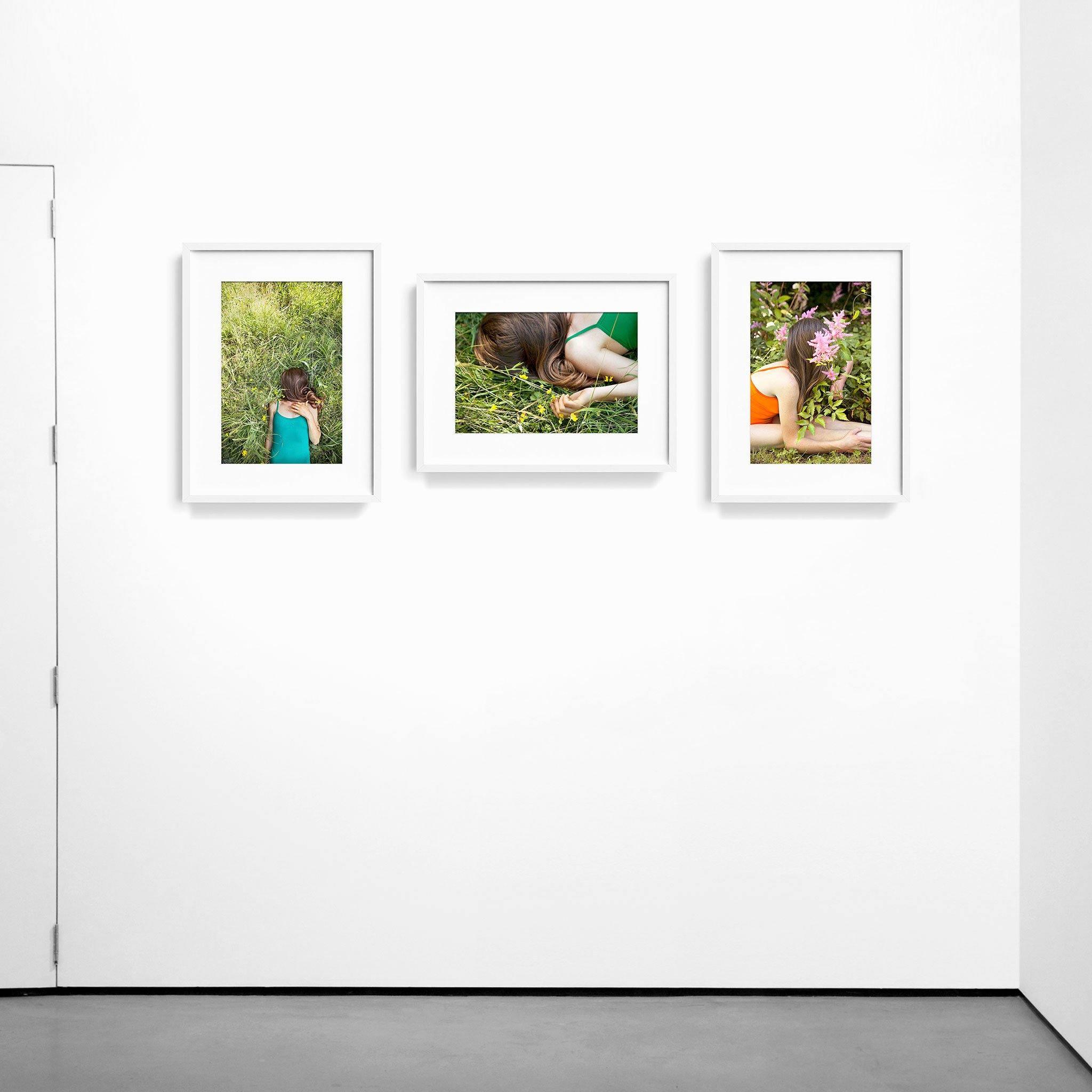 Edelweiss (Triptych), Photograph  by  Edelweiss (Triptych) Tappan