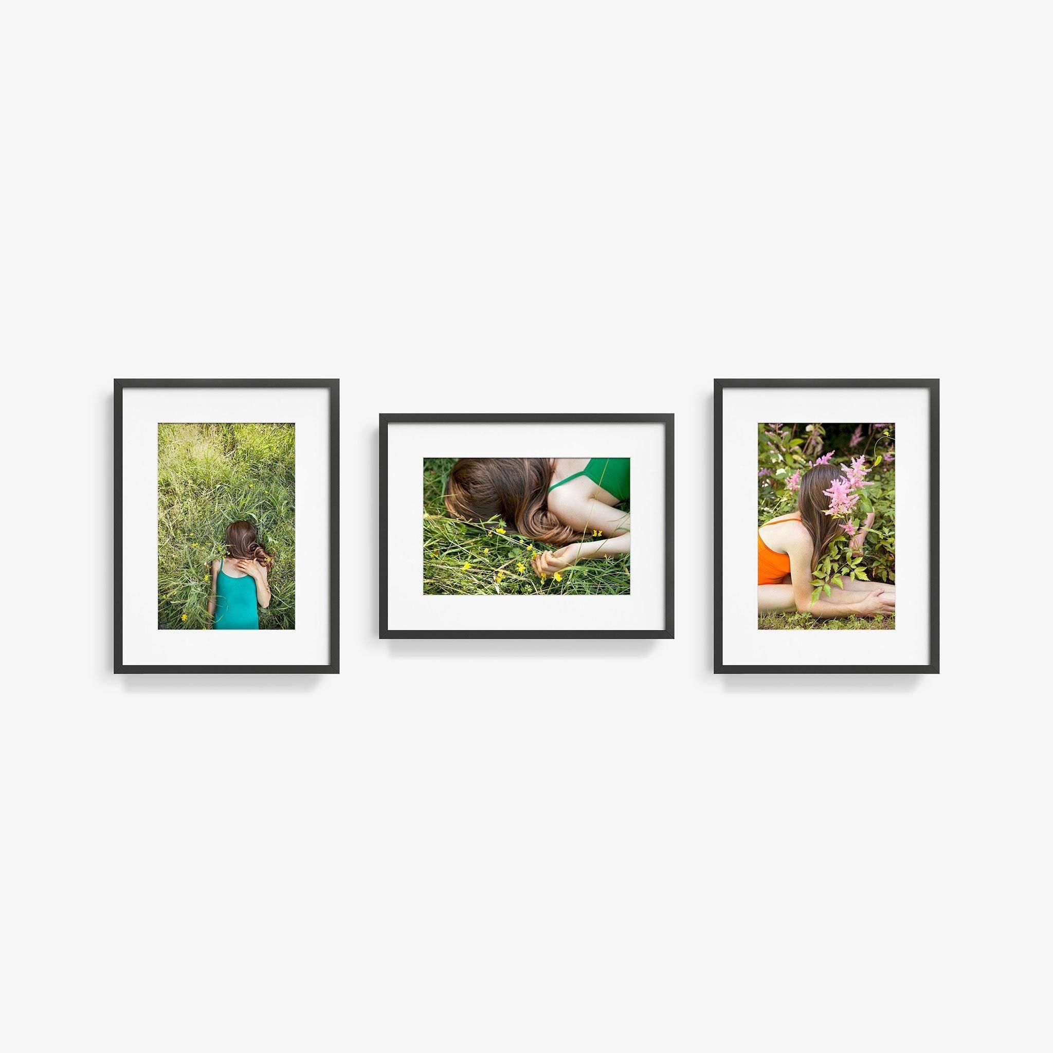Edelweiss (Triptych), Photograph  by  Edelweiss (Triptych) Tappan