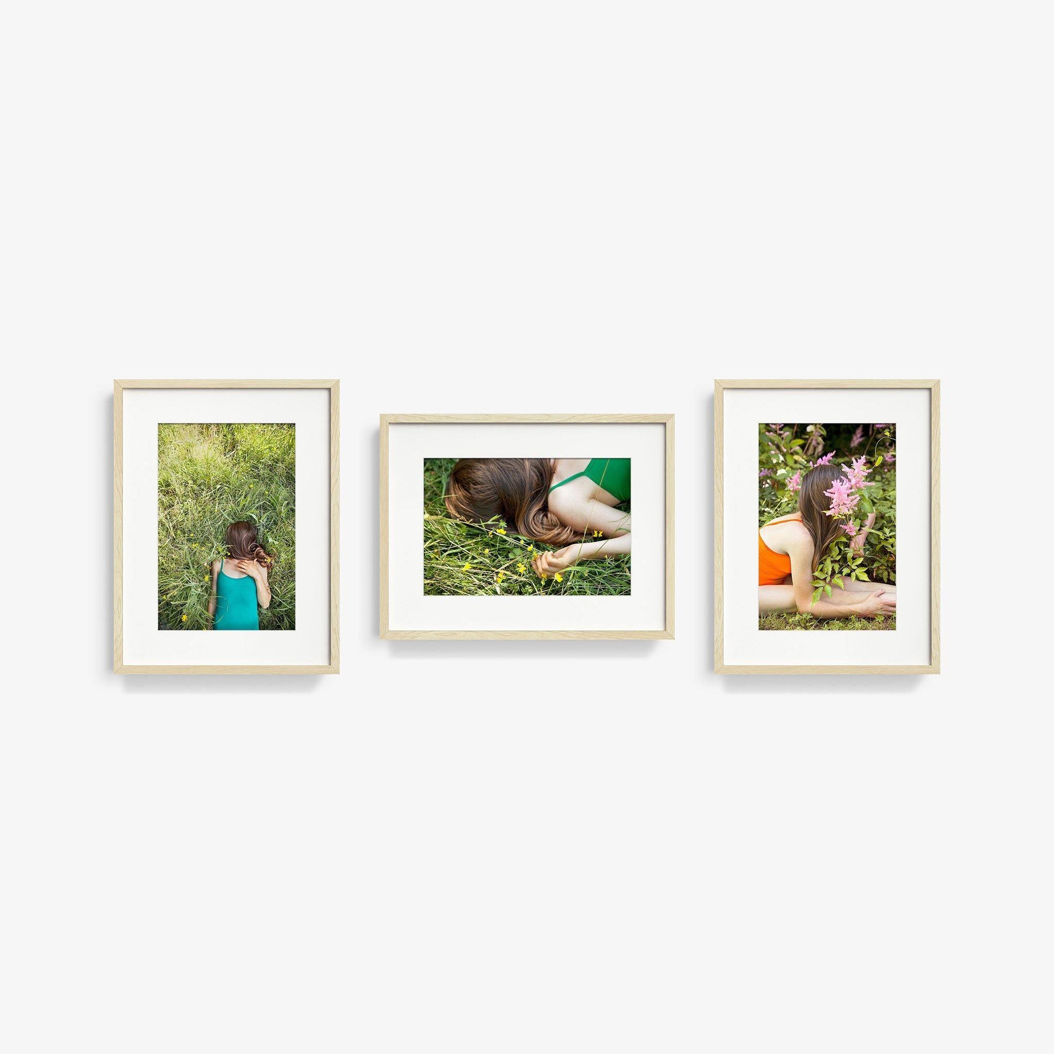 Edelweiss (Triptych), Photograph  by  Edelweiss (Triptych) Tappan