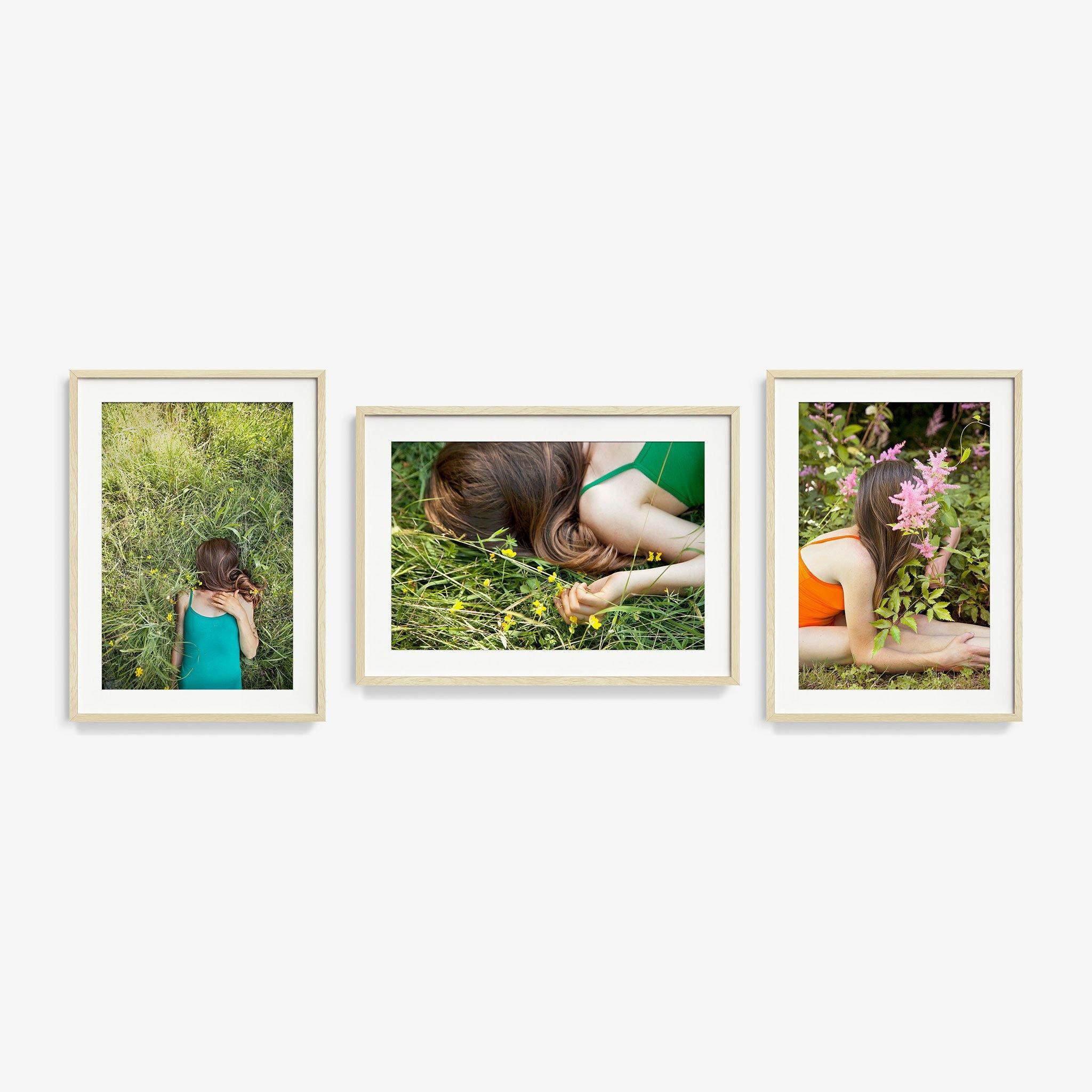 Edelweiss (Triptych), Photograph  by  Edelweiss (Triptych) Tappan