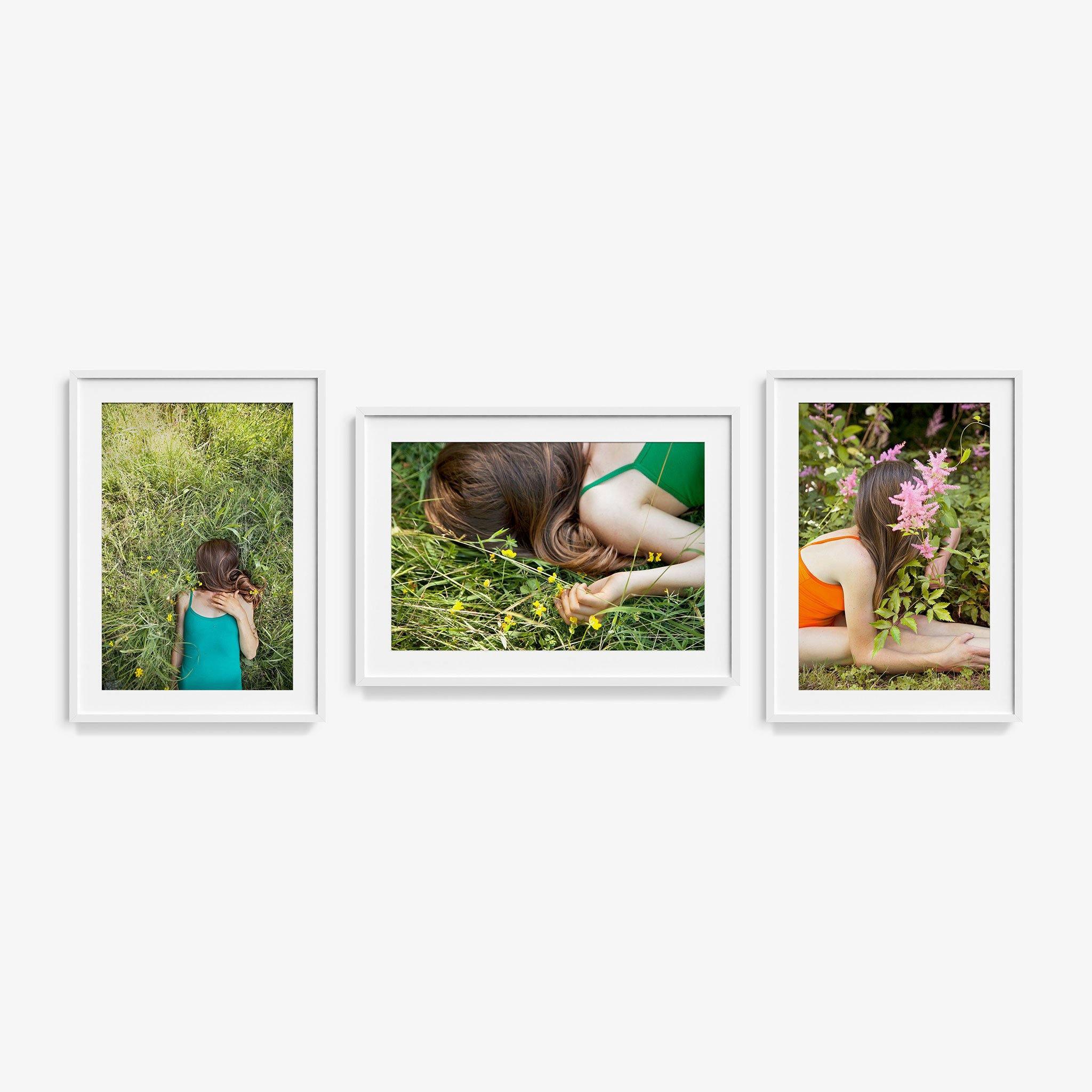 Edelweiss (Triptych), Photograph  by  Edelweiss (Triptych) Tappan
