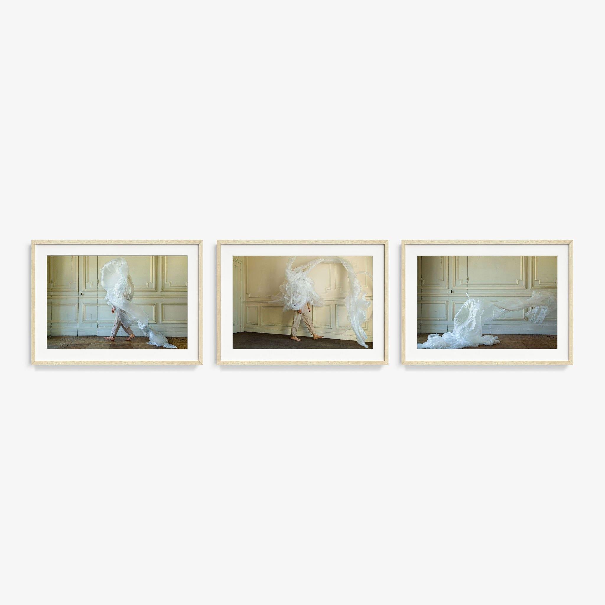 Versailles (Triptych), Photograph  by  Versailles (Triptych) Tappan