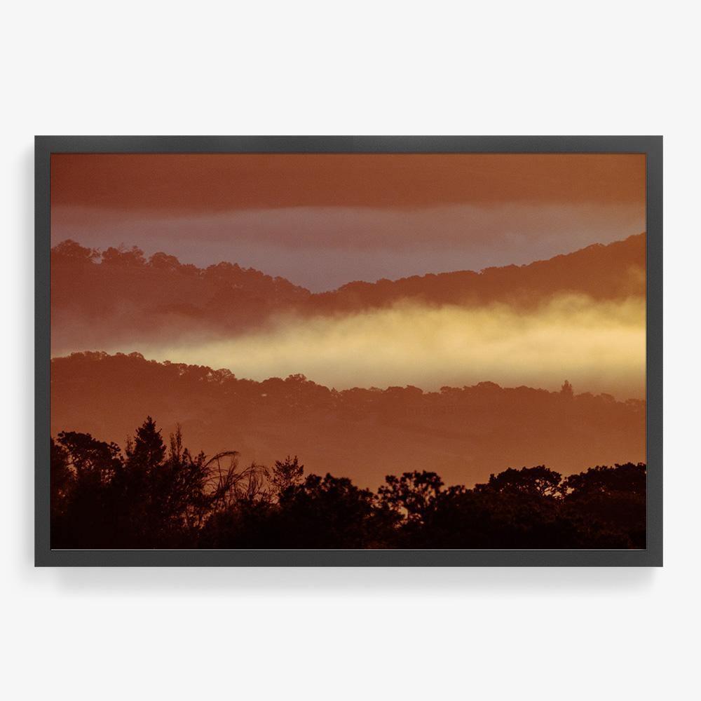 Untitled (MacArthur) 7, Photograph  by  Untitled (MacArthur) 7 Tappan