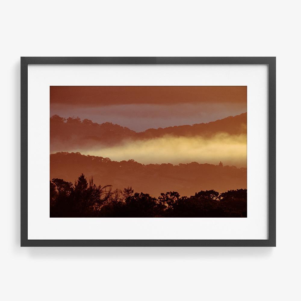 Untitled (MacArthur) 7, Photograph  by  Untitled (MacArthur) 7 Tappan