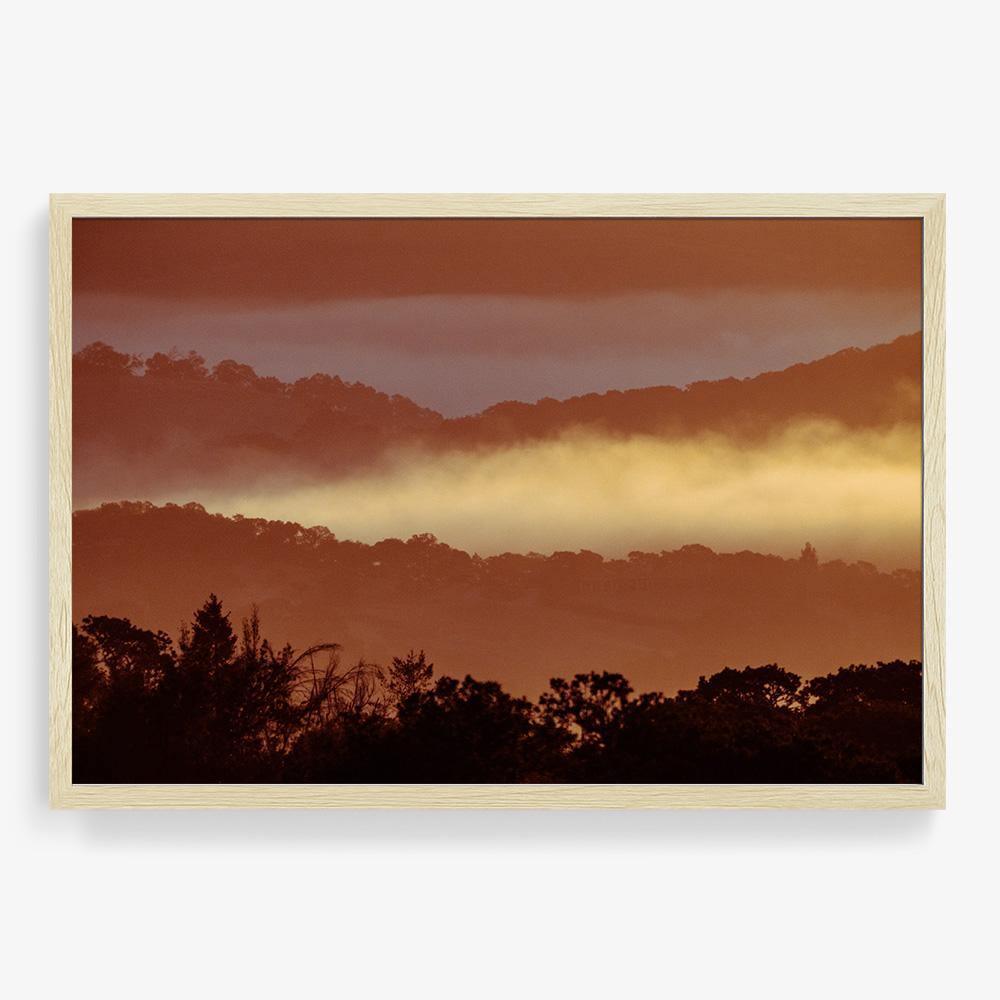 Untitled (MacArthur) 7, Photograph  by  Untitled (MacArthur) 7 Tappan