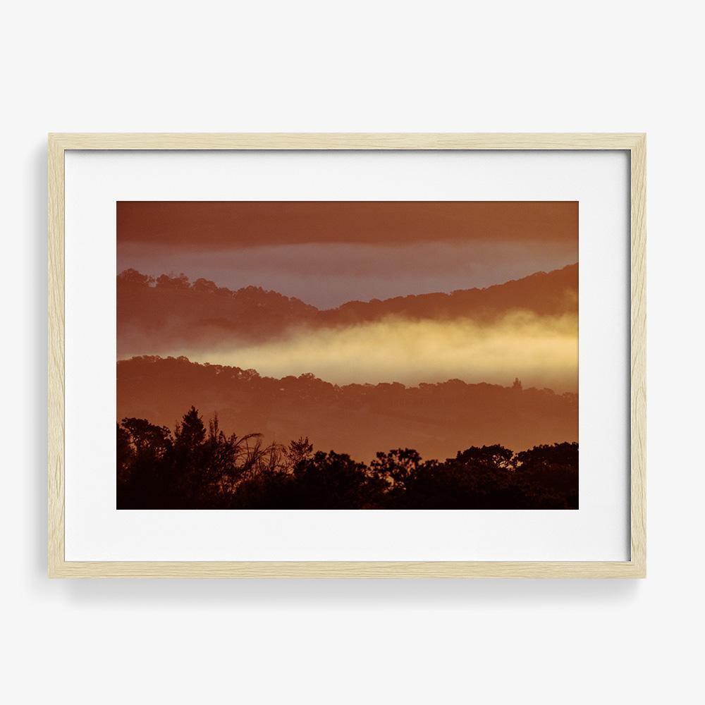 Untitled (MacArthur) 7, Photograph  by  Untitled (MacArthur) 7 Tappan
