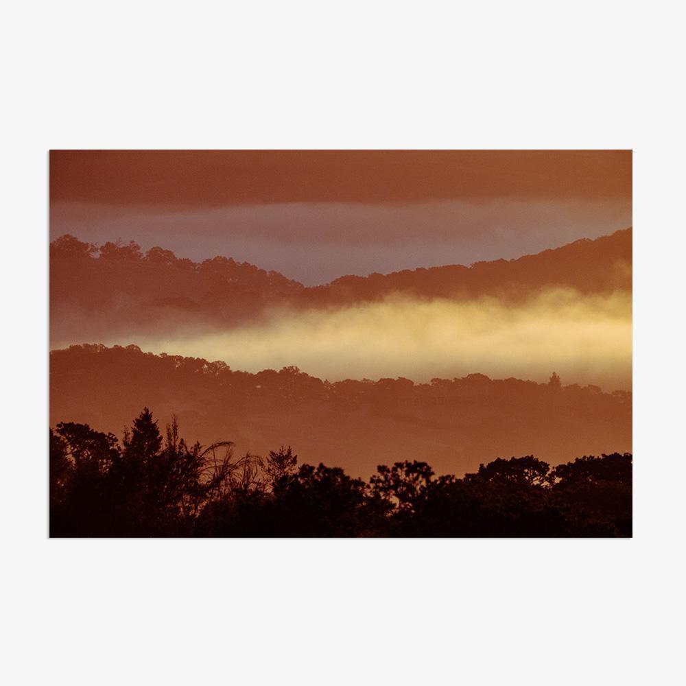 Untitled (MacArthur) 7, Photograph  by  Untitled (MacArthur) 7 Tappan