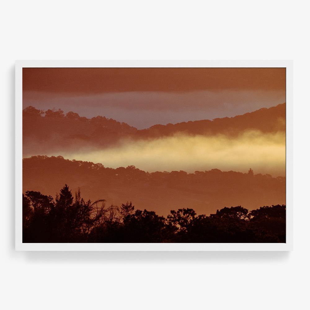 Untitled (MacArthur) 7, Photograph  by  Untitled (MacArthur) 7 Tappan