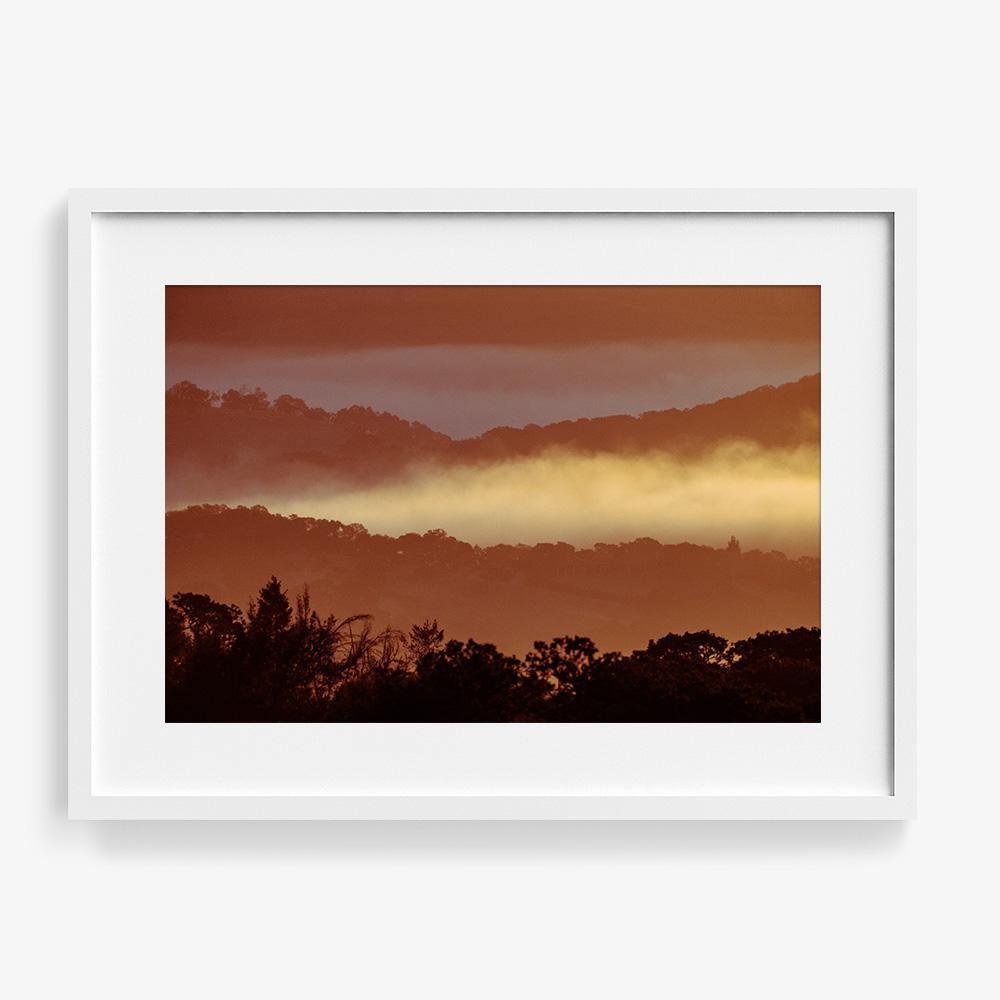 Untitled (MacArthur) 7, Photograph  by  Untitled (MacArthur) 7 Tappan