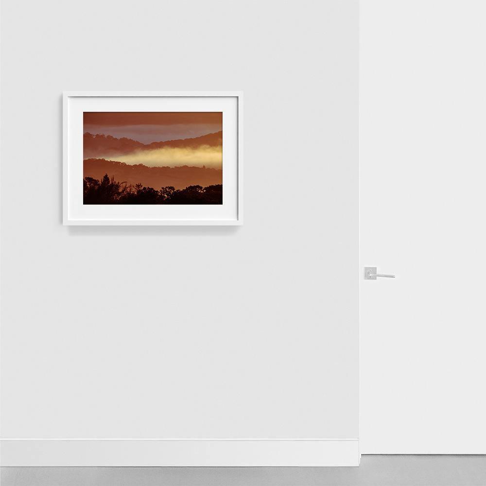 Untitled (MacArthur) 7, Photograph  by  Untitled (MacArthur) 7 Tappan