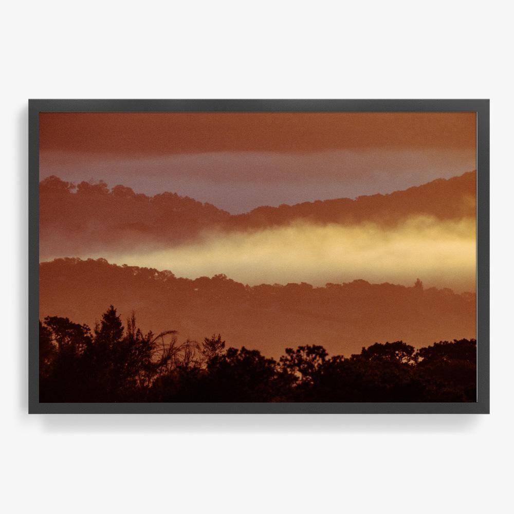 Untitled (MacArthur) 7, Photograph  by  Untitled (MacArthur) 7 Tappan
