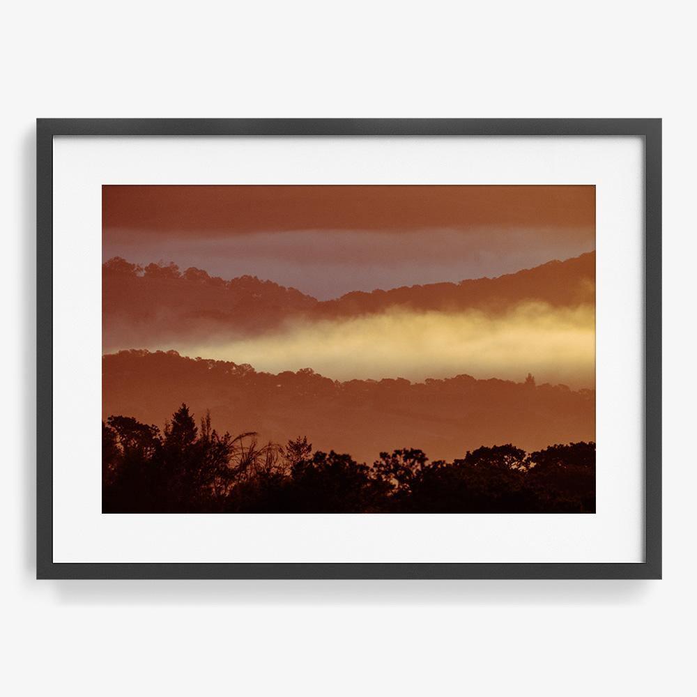 Untitled (MacArthur) 7, Photograph  by  Untitled (MacArthur) 7 Tappan