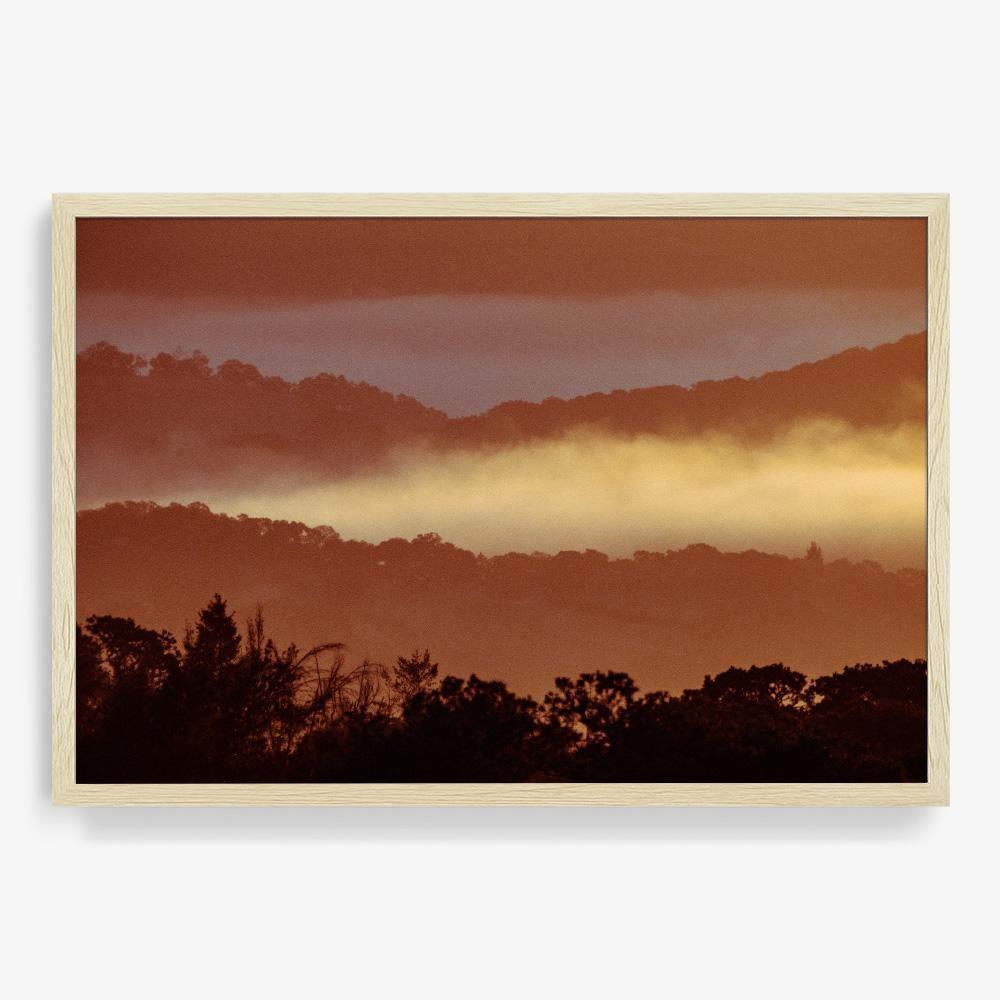Untitled (MacArthur) 7, Photograph  by  Untitled (MacArthur) 7 Tappan