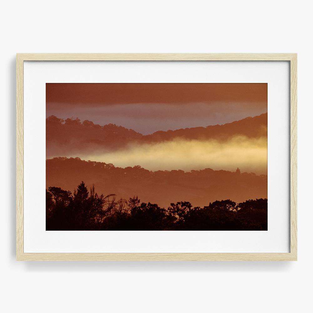 Untitled (MacArthur) 7, Photograph  by  Untitled (MacArthur) 7 Tappan