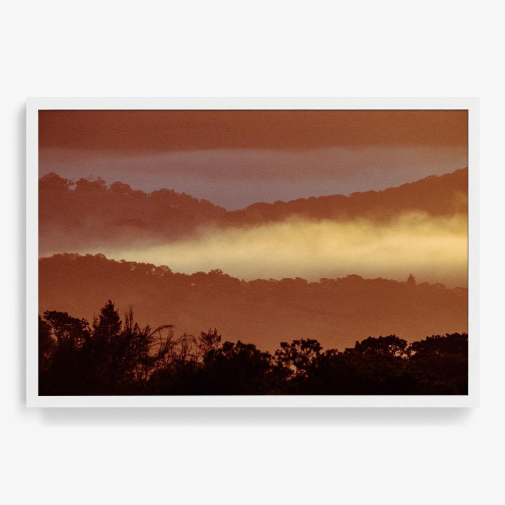 Untitled (MacArthur) 7, Photograph  by  Untitled (MacArthur) 7 Tappan