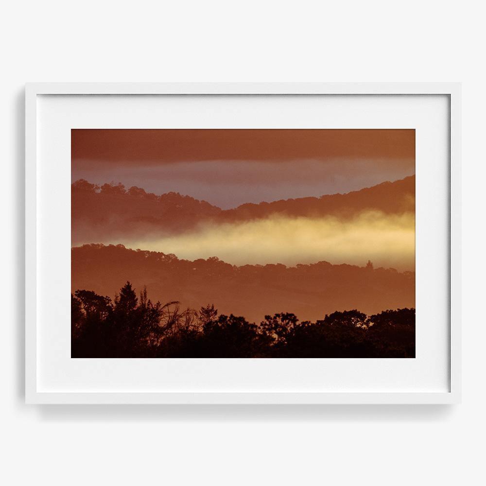 Untitled (MacArthur) 7, Photograph  by  Untitled (MacArthur) 7 Tappan
