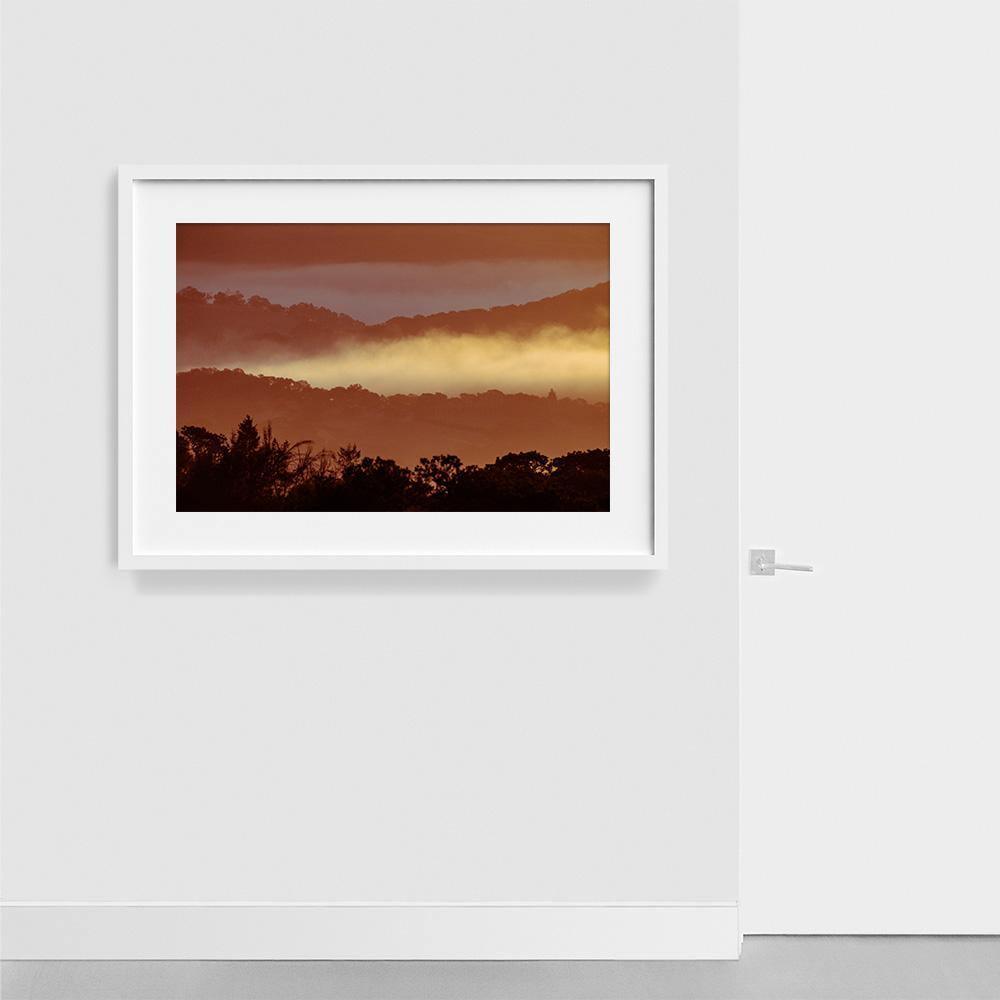 Untitled (MacArthur) 7, Photograph  by  Untitled (MacArthur) 7 Tappan