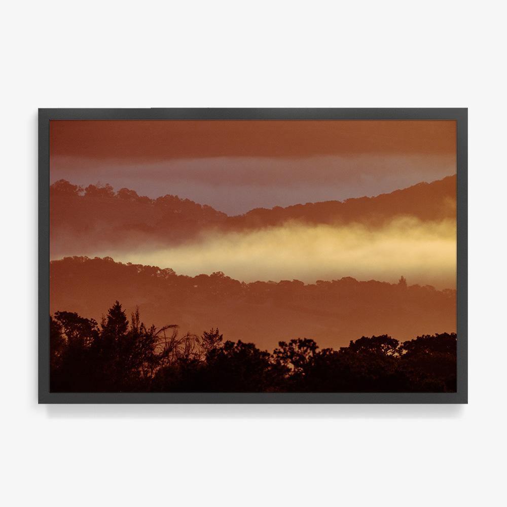 Untitled (MacArthur) 7, Photograph  by  Untitled (MacArthur) 7 Tappan