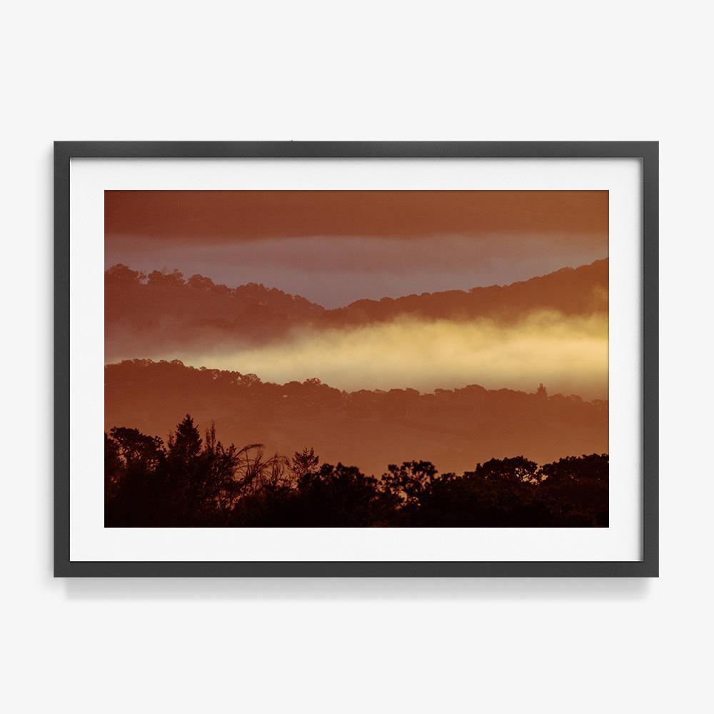Untitled (MacArthur) 7, Photograph  by  Untitled (MacArthur) 7 Tappan