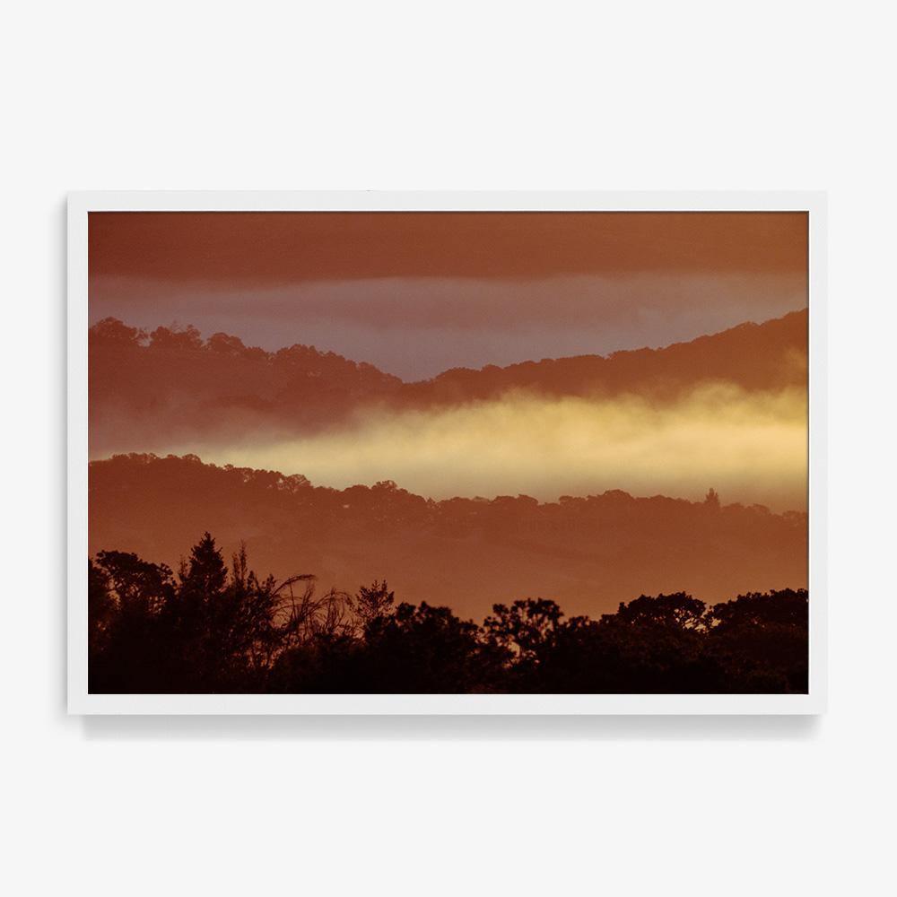Untitled (MacArthur) 7, Photograph  by  Untitled (MacArthur) 7 Tappan