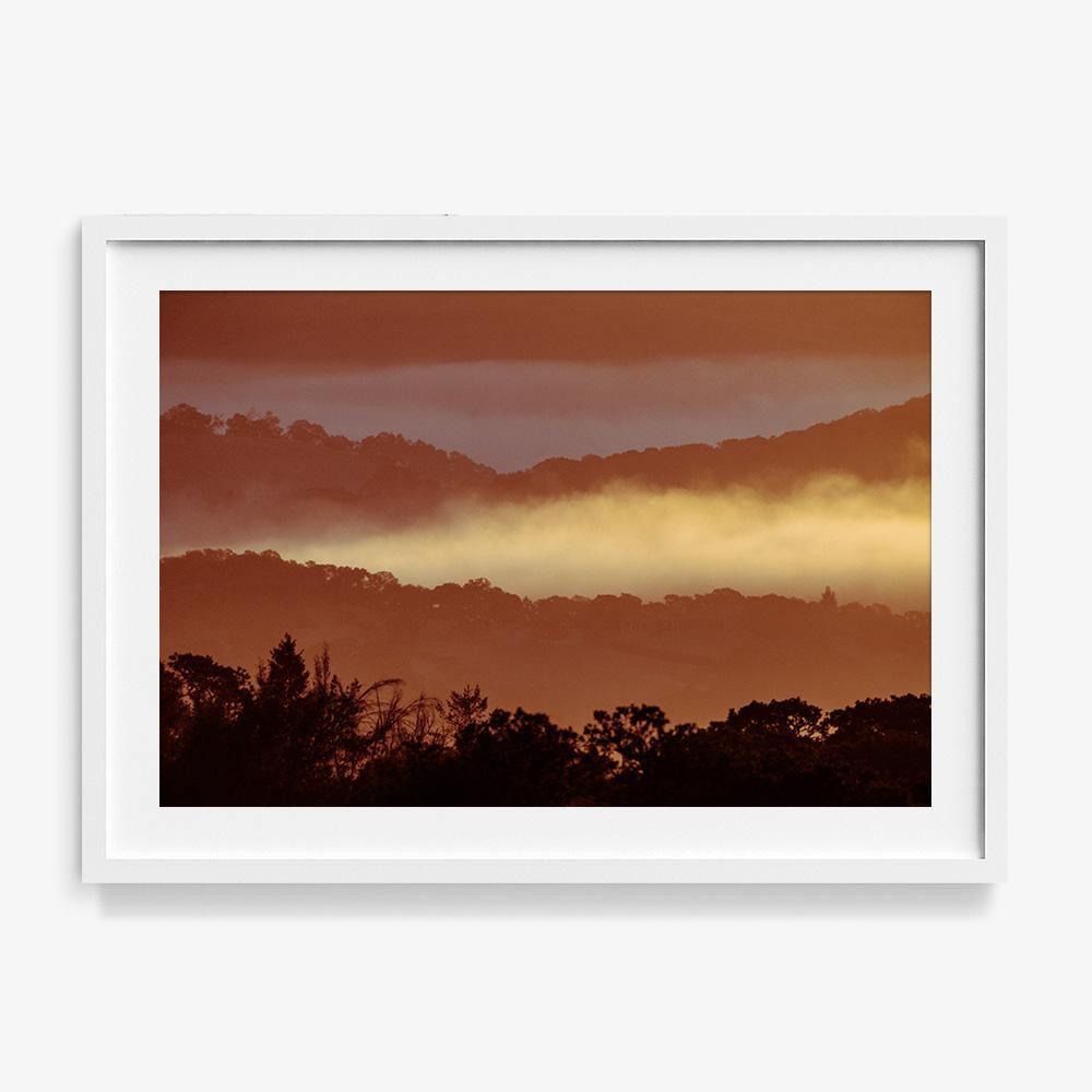 Untitled (MacArthur) 7, Photograph  by  Untitled (MacArthur) 7 Tappan