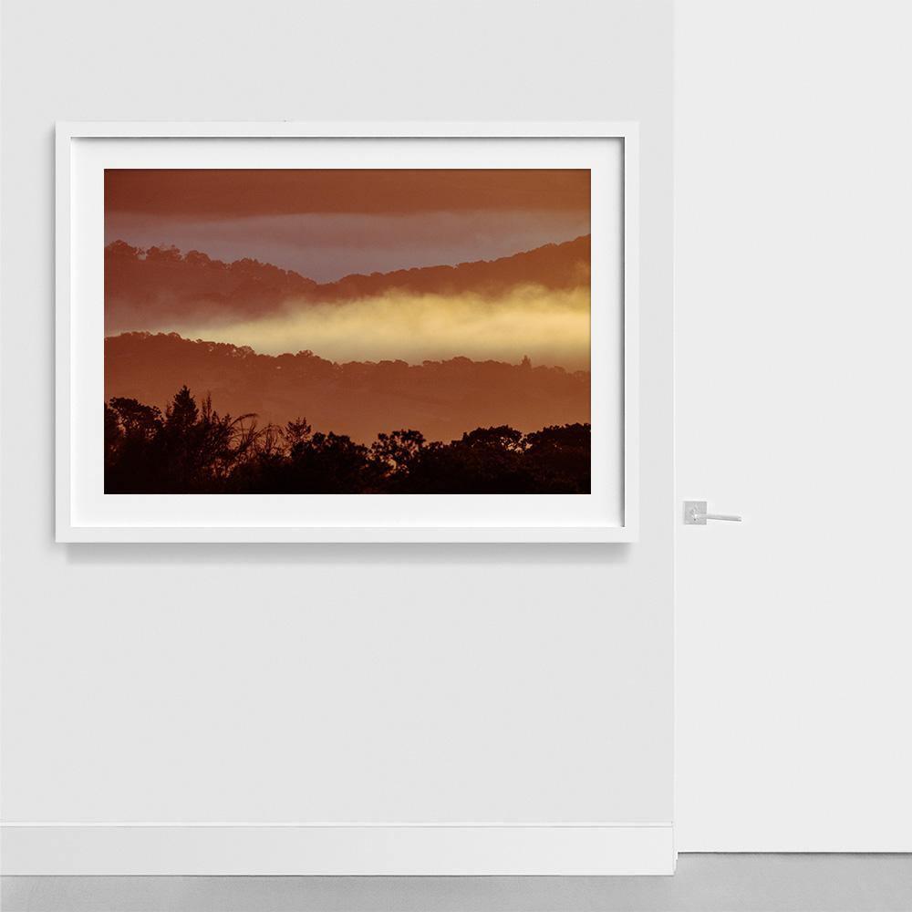Untitled (MacArthur) 7, Photograph  by  Untitled (MacArthur) 7 Tappan