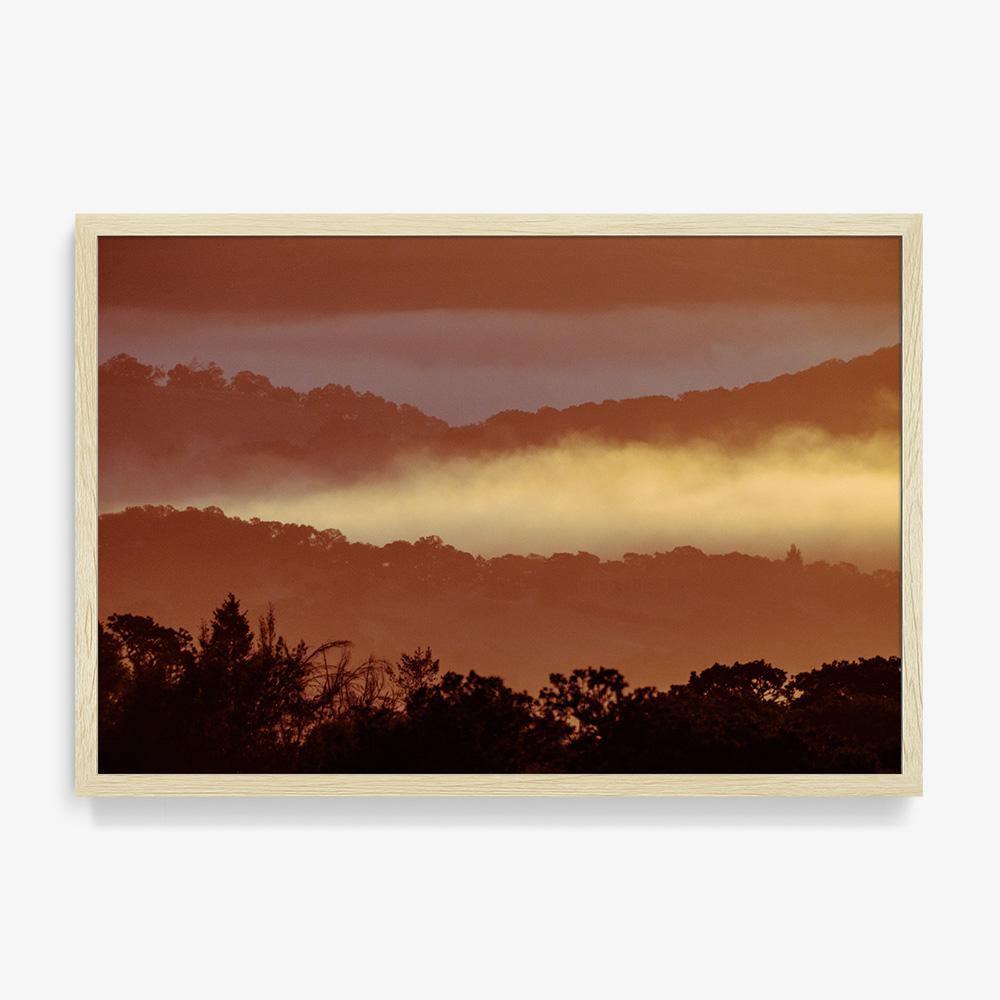 Untitled (MacArthur) 7, Photograph  by  Untitled (MacArthur) 7 Tappan