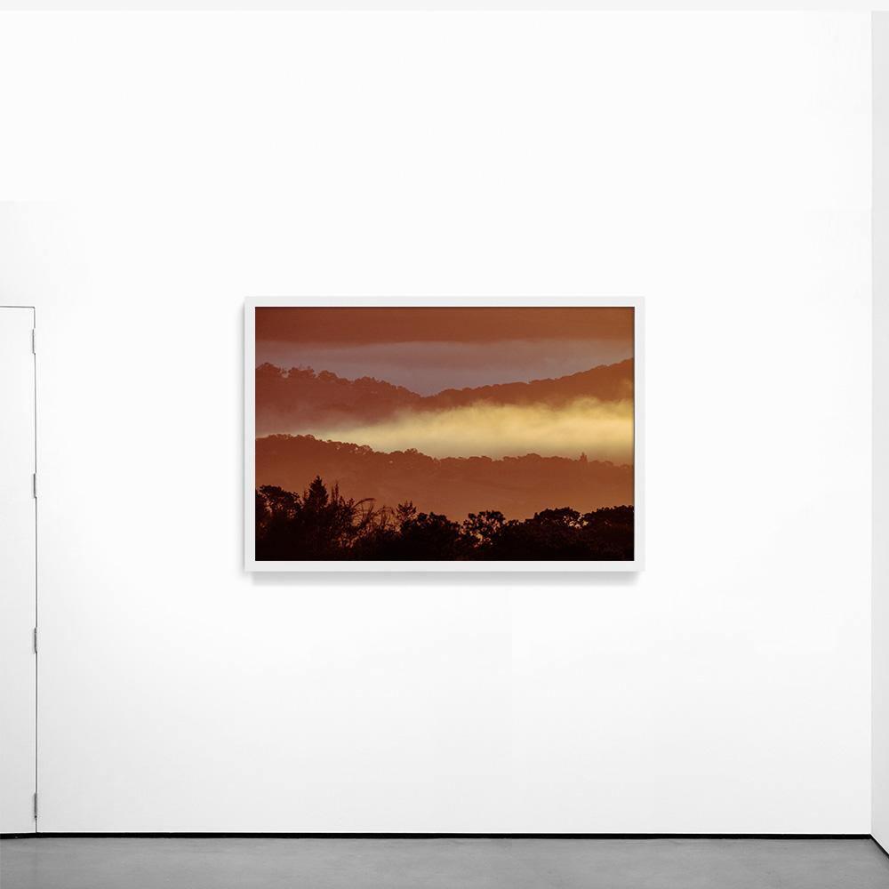 Untitled (MacArthur) 7, Photograph  by  Untitled (MacArthur) 7 Tappan