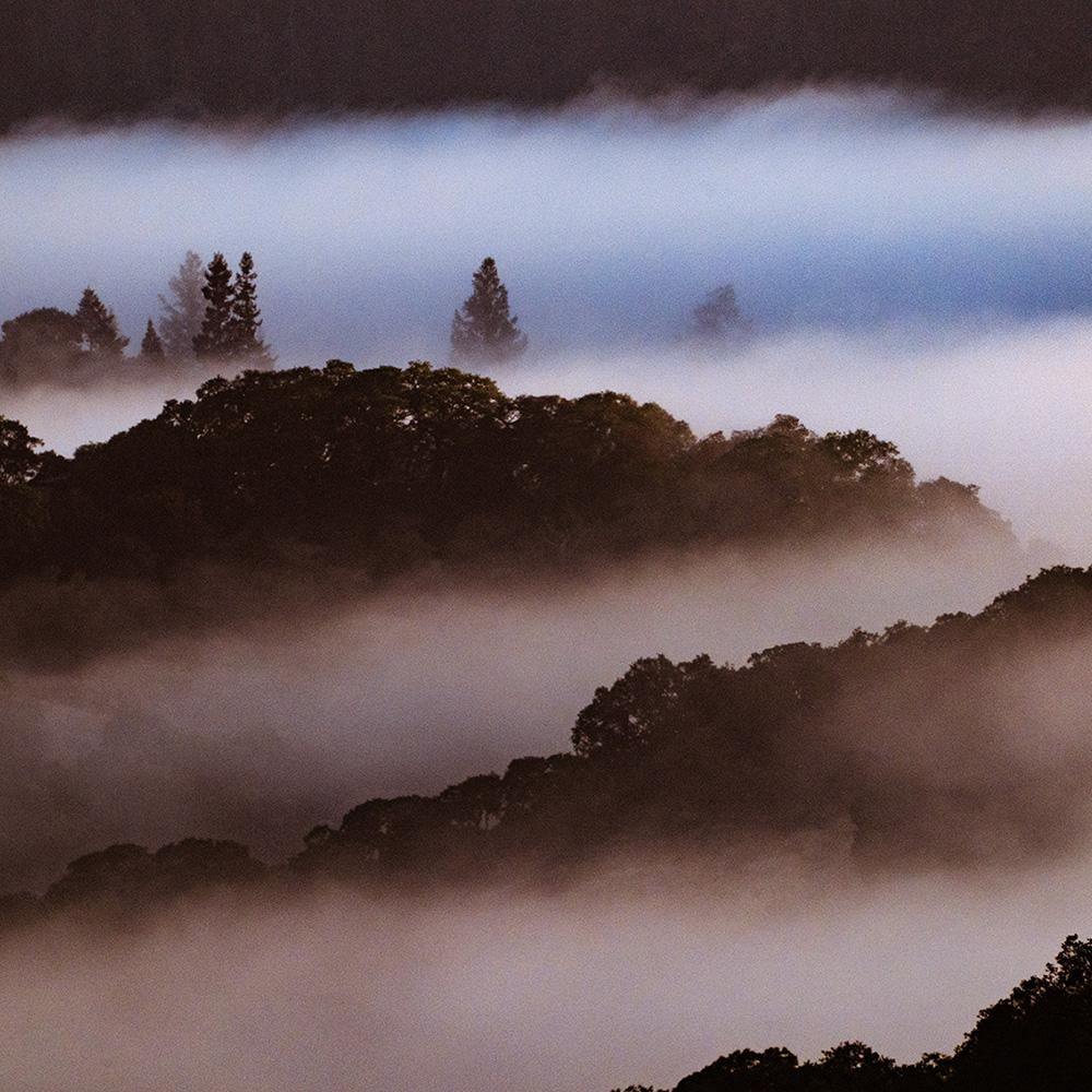 Photograph by Brian Merriam