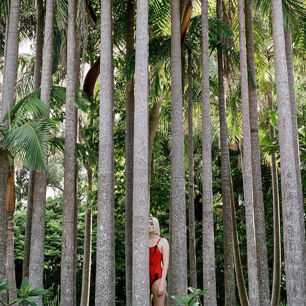 Sois Belle 2.65 , Photograph by Sois Belle 2.65 Tappan