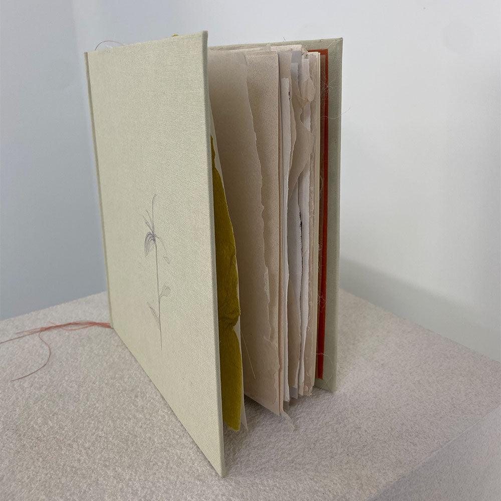 Books and Zines by Catherine Lucky Chang