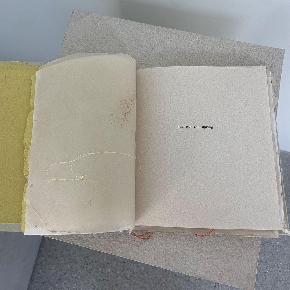 Books and Zines by Catherine Lucky Chang