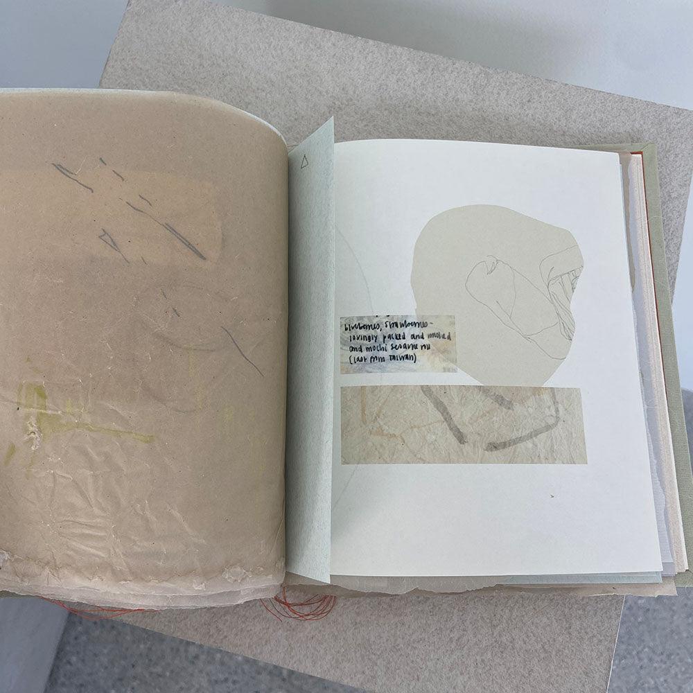 Books and Zines by Catherine Lucky Chang