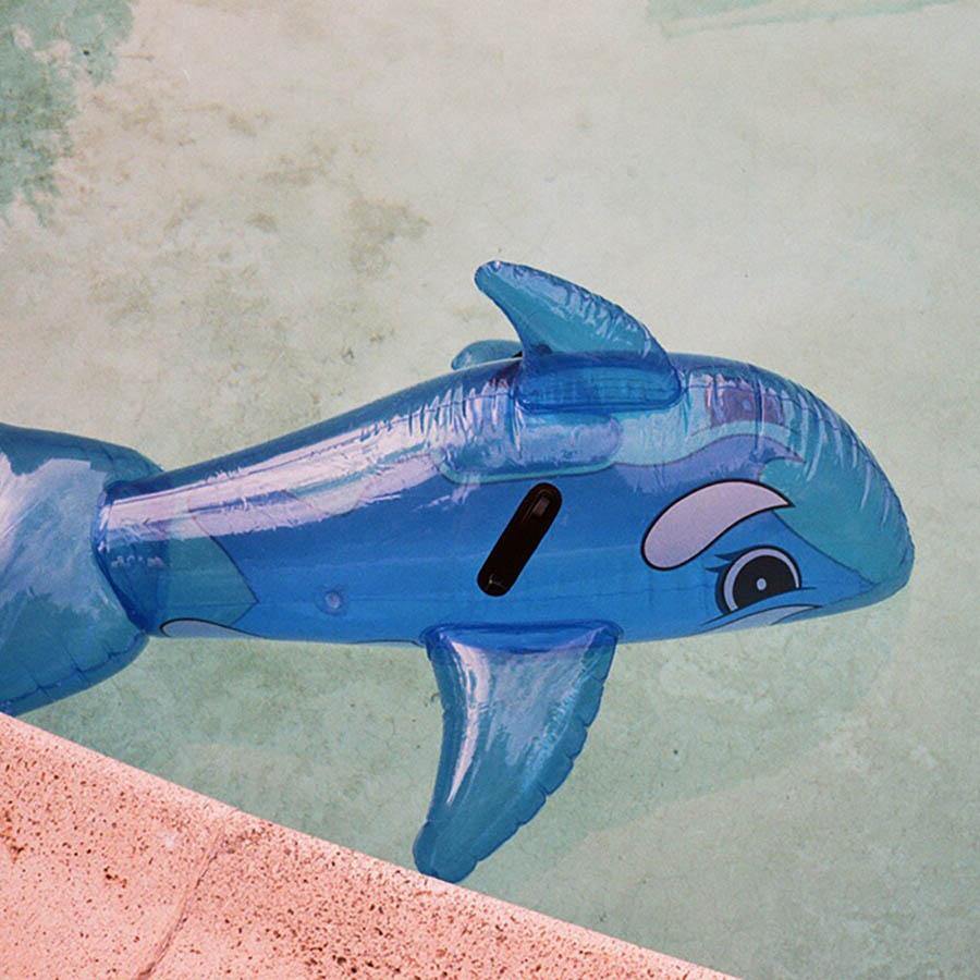 Whale in Pool, Photograph  by  Whale in Pool Tappan