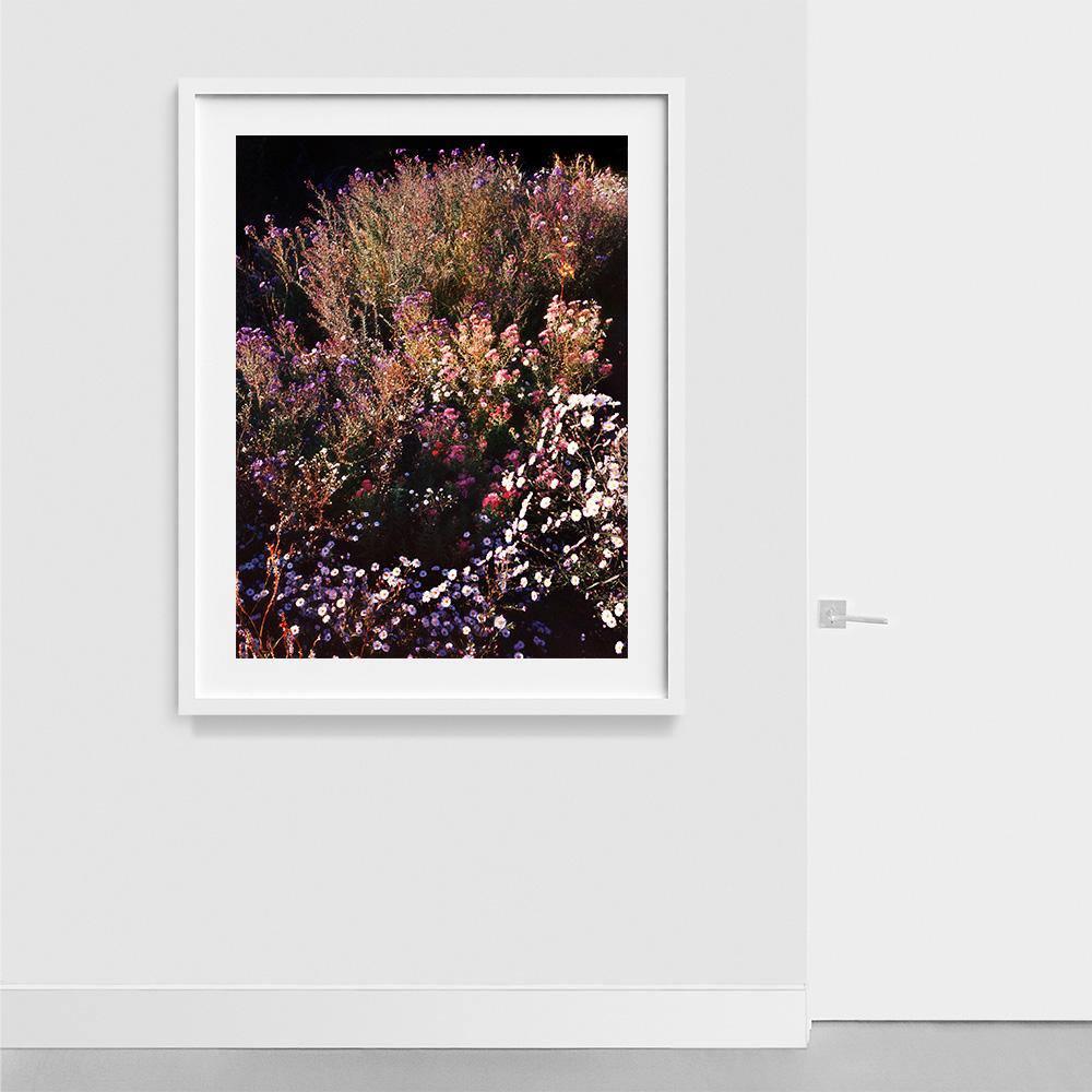 Photograph by Jacques Brun