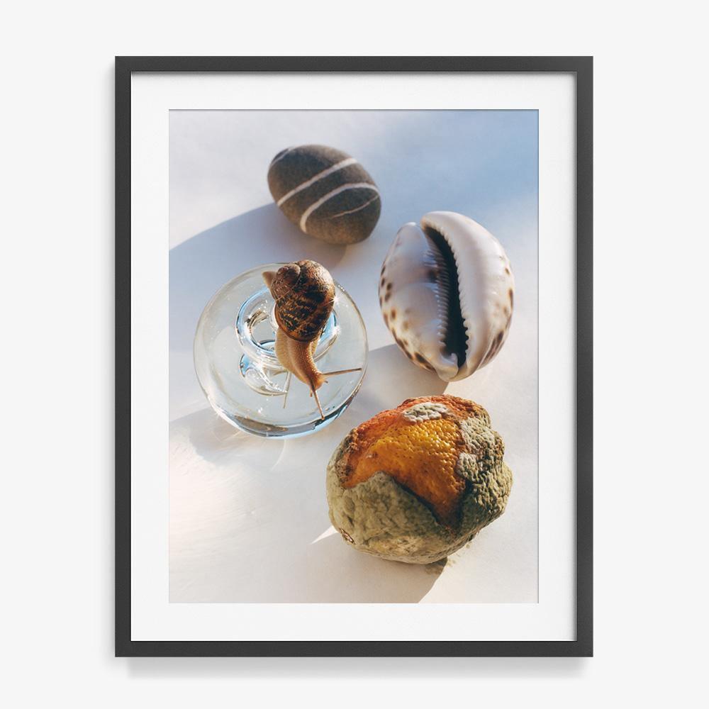 Relics 1, Photograph  by  Relics 1 Tappan