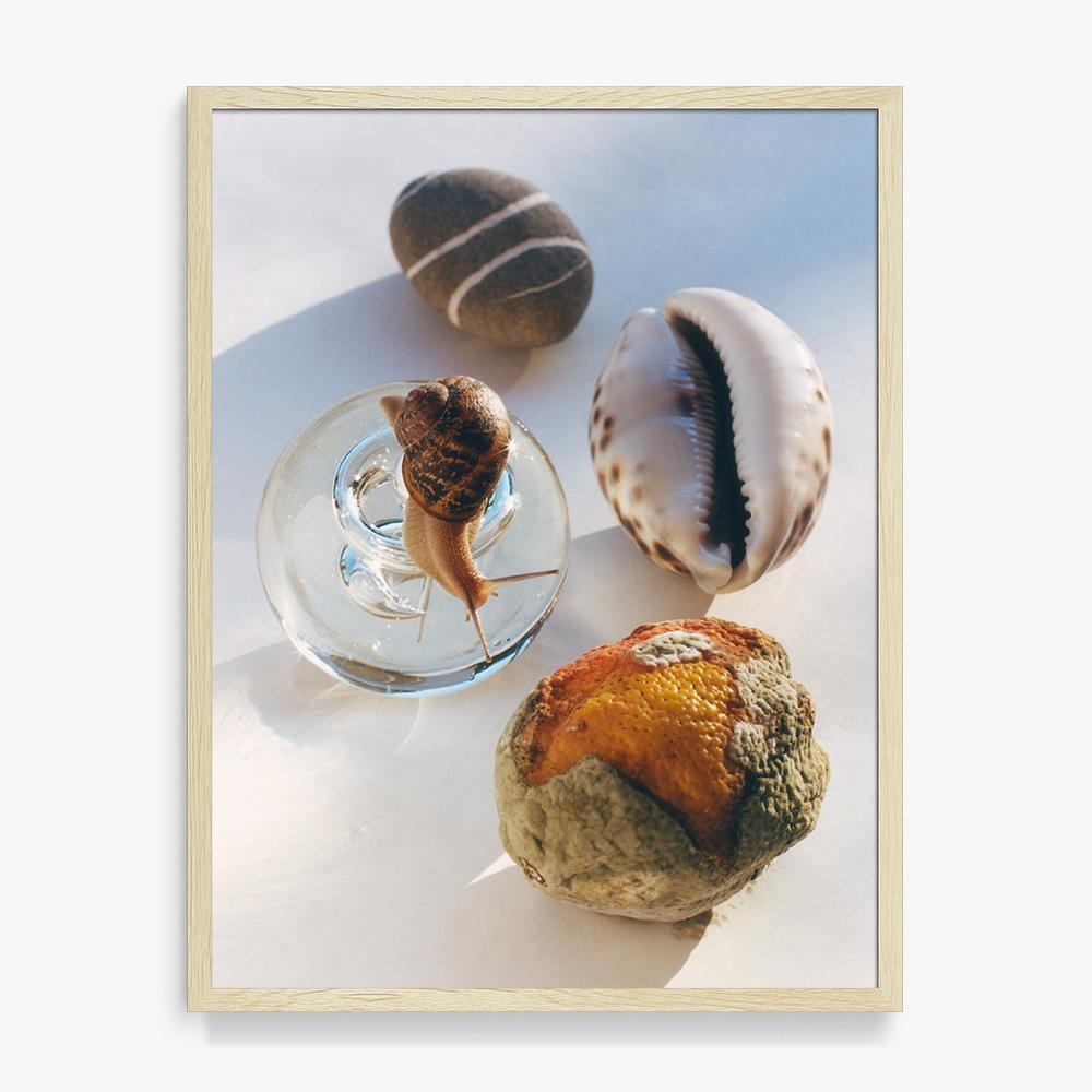 Relics 1, Photograph  by  Relics 1 Tappan