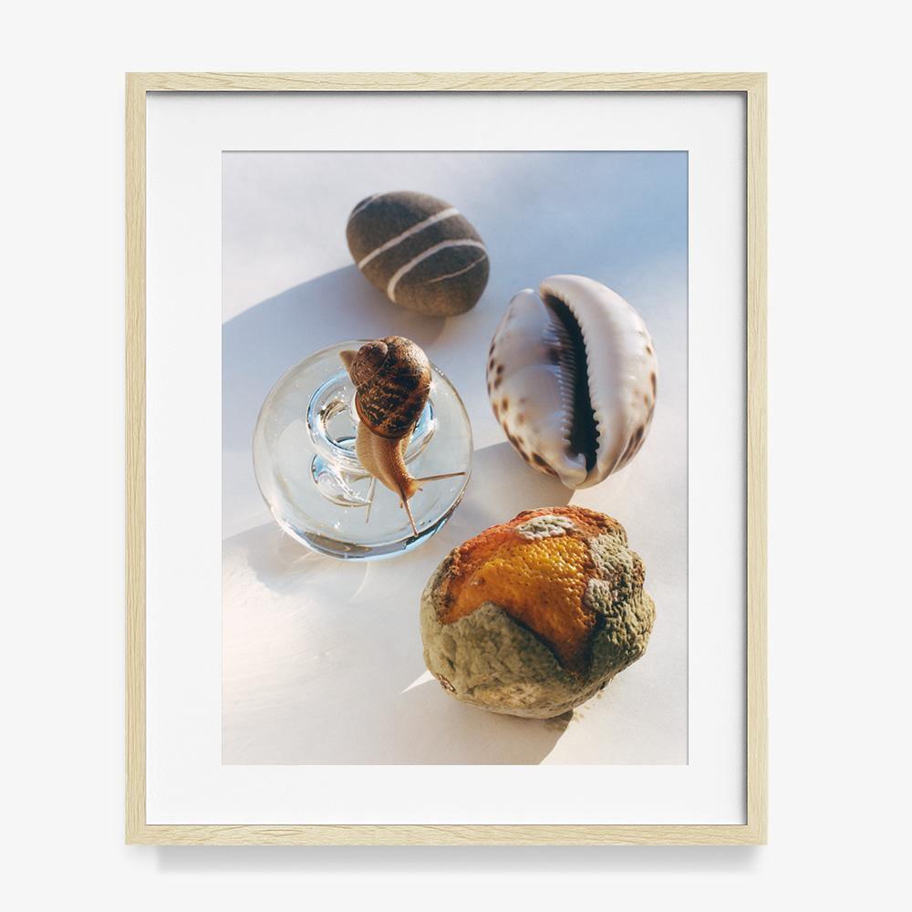 Relics 1, Photograph  by  Relics 1 Tappan