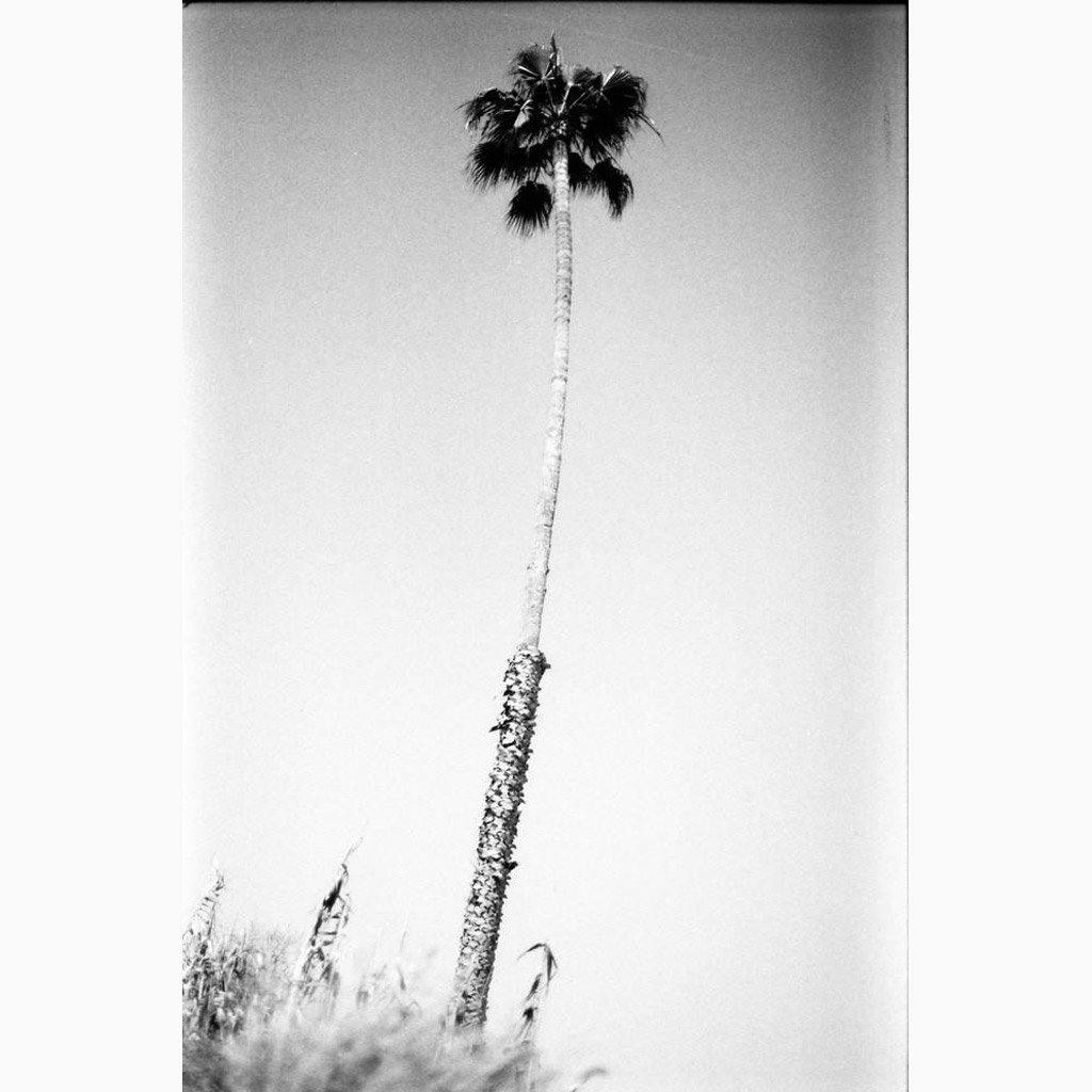 Photograph by Isaac Zoller
